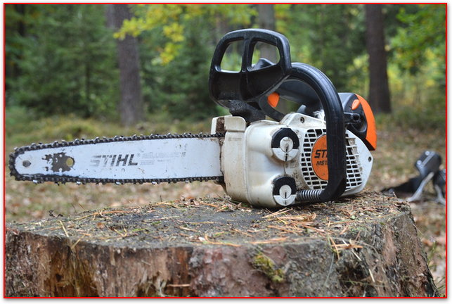 Kettensägen Verbrennungsmotor und Service BLT-Damme